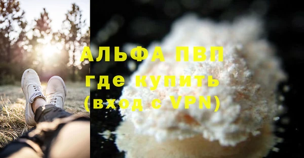 стафф Богородицк