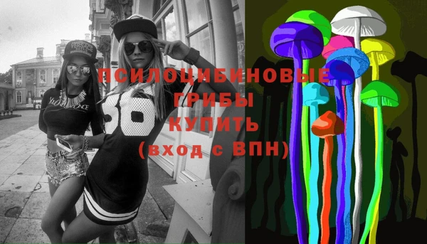 крисы Богданович