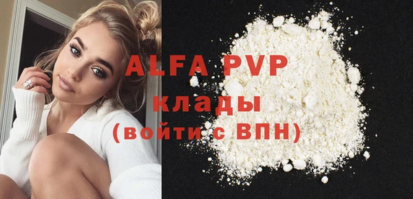 стафф Богородицк