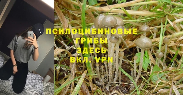 крисы Богданович
