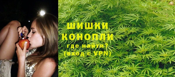 крисы Богданович