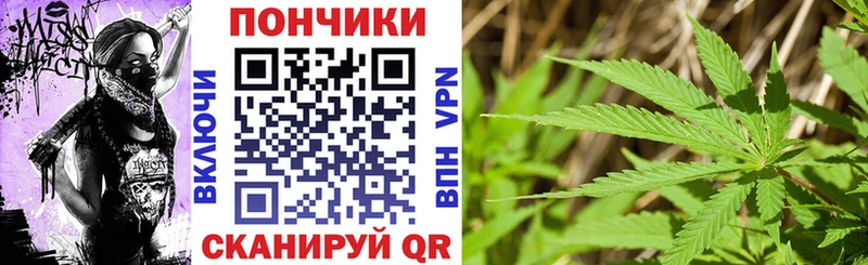 как найти закладки  MEGA зеркало  Шишки марихуана ГИДРОПОН  Дубовка 